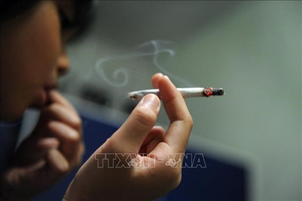印尼进一步加强对香烟消费的管制 hinh anh 1