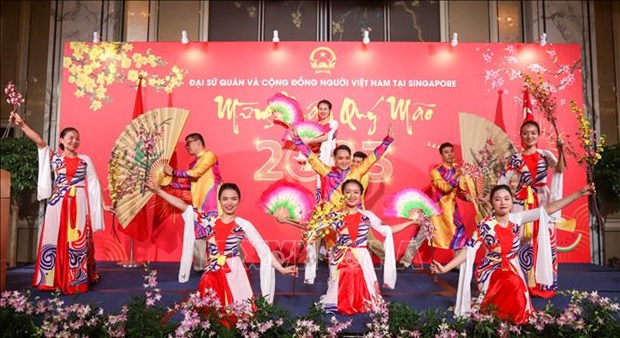 旅居新加坡越南人喜迎2023癸卯年春节 hinh anh 1