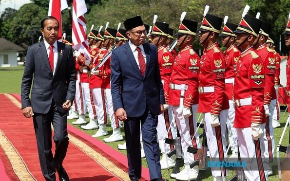 印度尼西亚和马来西亚一致同意加强东盟的作用 hinh anh 1