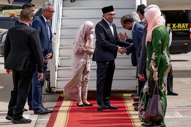 马来西亚总理安瓦尔•易卜拉欣访问印度尼西亚 hinh anh 1