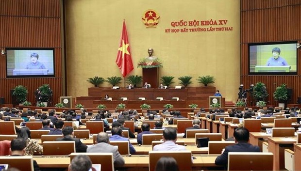 国会通过关于越南《2021-2030年国家总体规划和2050年愿景》的决议 hinh anh 1