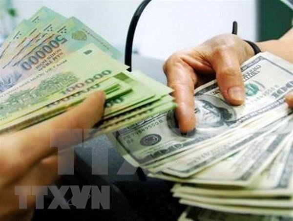 1月13日上午越南国内市场美元价格稳定 人民币价格上涨 hinh anh 1