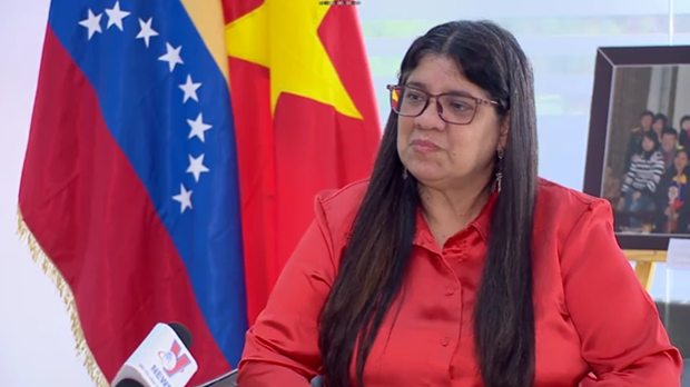 委内瑞拉驻越大使：越南成功展示社会主义定向市场经济的优势 hinh anh 1