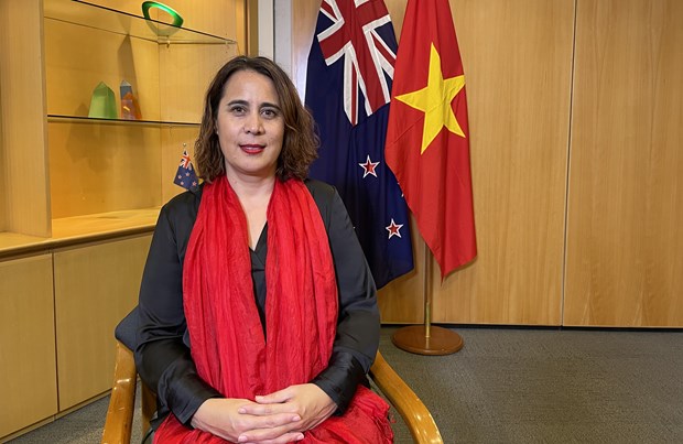 新西兰驻越南大使：越新在经贸政策和包容性增长方面具有共同点 hinh anh 1