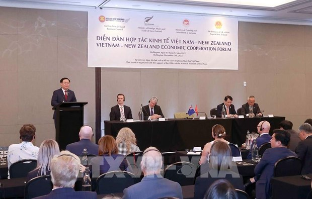 新西兰驻越南大使：越新在经贸政策和包容性增长方面具有共同点 hinh anh 3