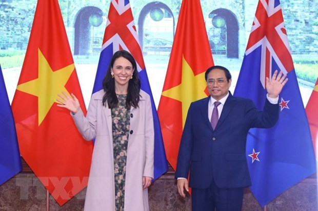 新西兰驻越南大使：越新在经贸政策和包容性增长方面具有共同点 hinh anh 2