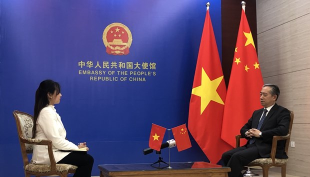 中国驻越南大使熊波：越南是对外开放程度非常高、充满活力的经济体 hinh anh 1