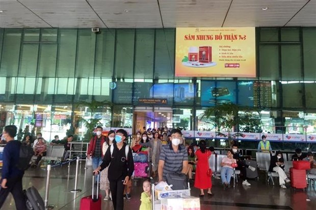 胡志明市新山一机场大年初八起降航班近920个 hinh anh 1