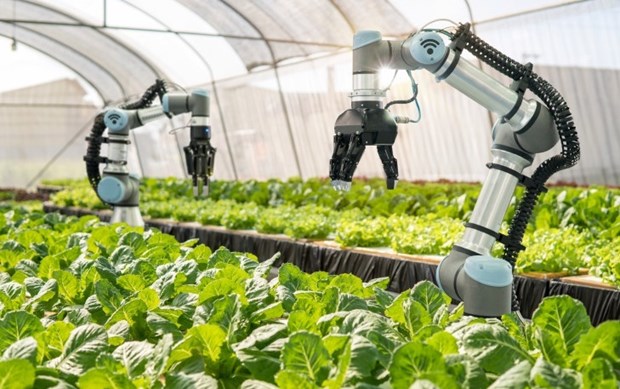 2030年科技与创新对农业增长的贡献率达50%以上 hinh anh 1