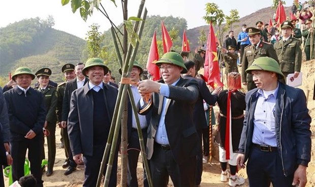 国会主席王廷惠出席宣光省的2023年竞赛和植树节启动仪式 hinh anh 1