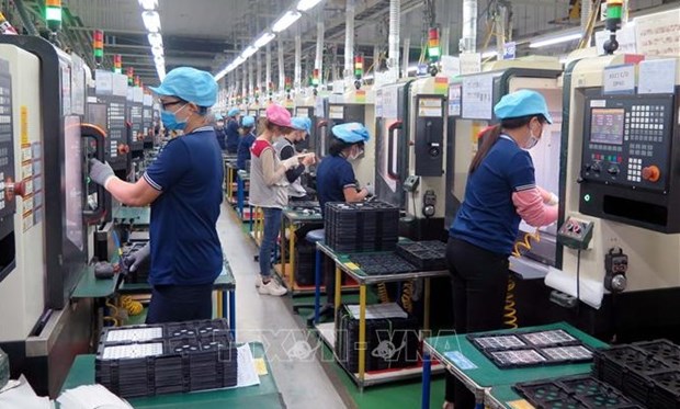 2023年1月越南新设企业数量同比下降近17% hinh anh 1