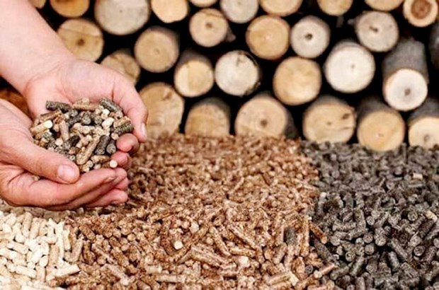 越南木屑颗粒产业未来发展机遇和挑战并存 hinh anh 1