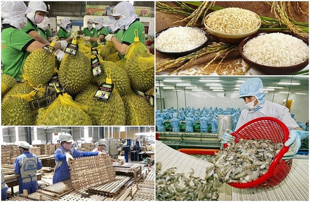 越南大力推进科技强农 力争实现农业可持续 hinh anh 1