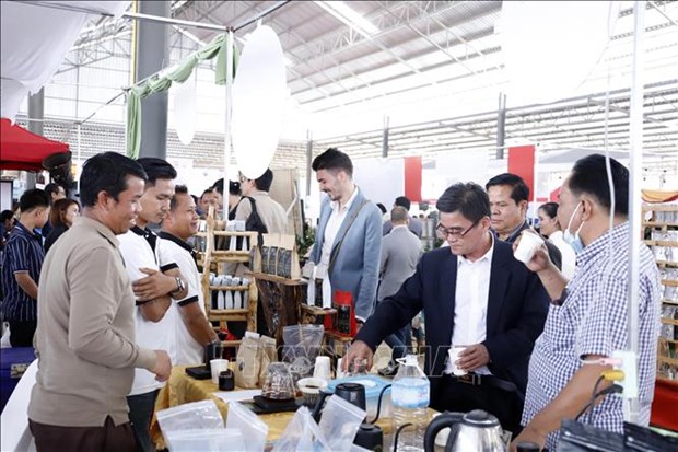 越南咖啡企业参加2023年老挝波罗芬高原咖啡、茶叶和其他农产品节 hinh anh 1