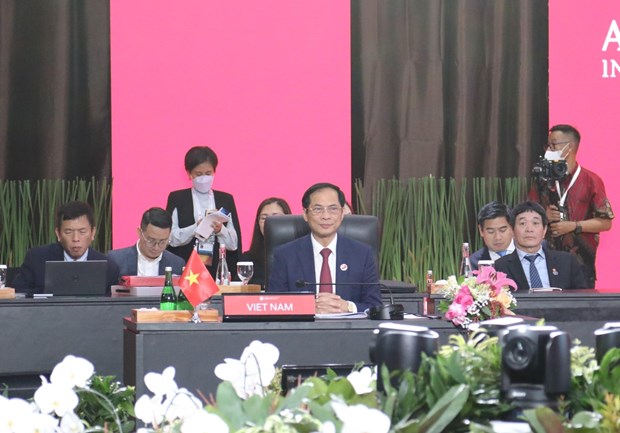 第32届东盟协调委员会会议召开 裴青山强调越南愿与印尼合作 hinh anh 2