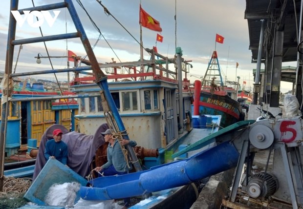 渔民年初挺进长沙、开启新年捕捞季 hinh anh 1