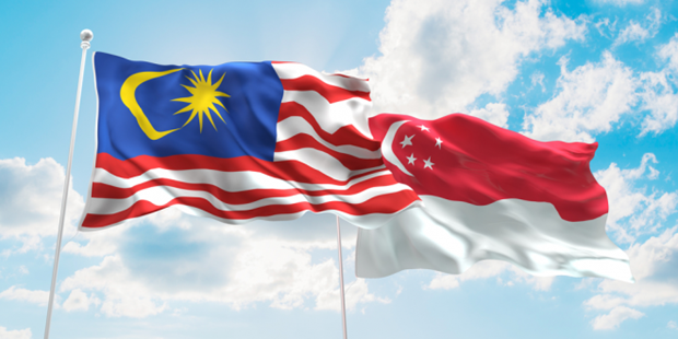马来西亚和新加坡加强在保护资料、网络安全和数字经济领域的合作 hinh anh 1