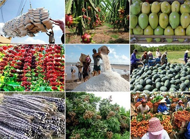 年初以来越南多种农产品出口成绩可观 hinh anh 1
