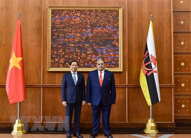 范明政总理正式访问两国之旅提升越南与新加坡和文莱之间的双边合作水平 hinh anh 2
