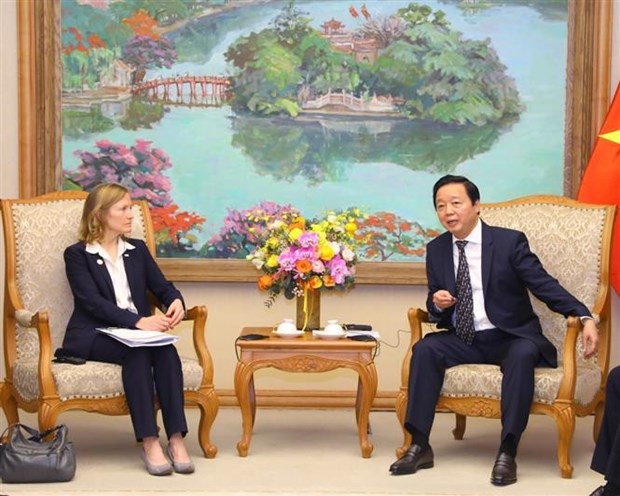 越南政府副总理陈红河会见UNDP和USAID驻越南首席代表 hinh anh 2