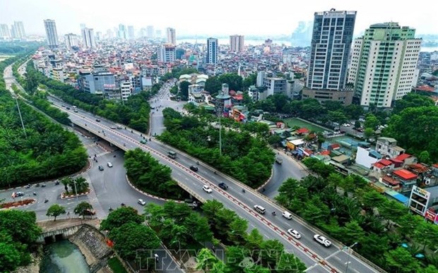 越南各省市着力增加城市绿化面积 hinh anh 2