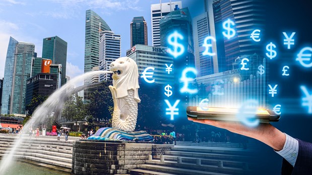 专家:新加坡是越南科技企业进军地区市场的“门户” hinh anh 2