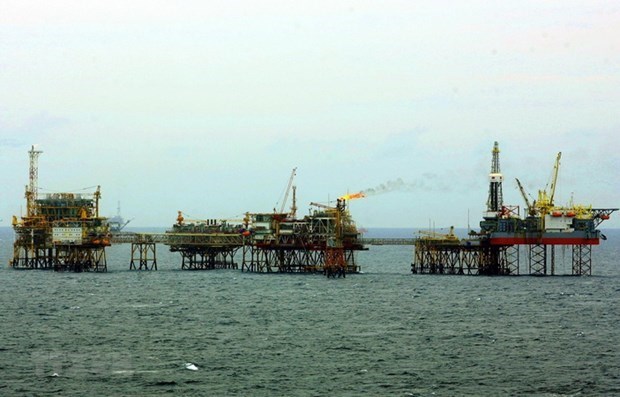 越南石油勘探开采总公司开采产量达10亿桶石油大关 hinh anh 1