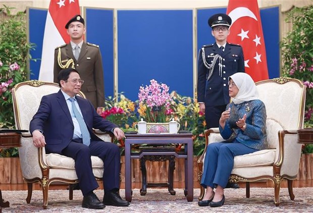 越南政府总理范明政会见新加坡总统哈莉玛·雅各布 hinh anh 2