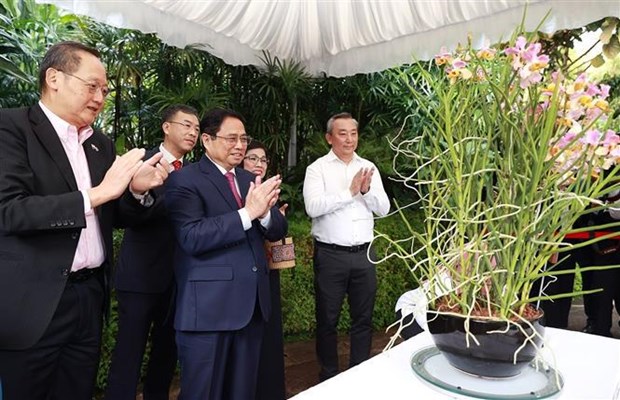 范明政总理在新加坡胡志明主席雕像前献花并给一种兰花新品种命名 hinh anh 2