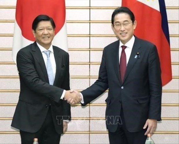 日本和菲律宾加强经济和安全领域的合作关系 hinh anh 1