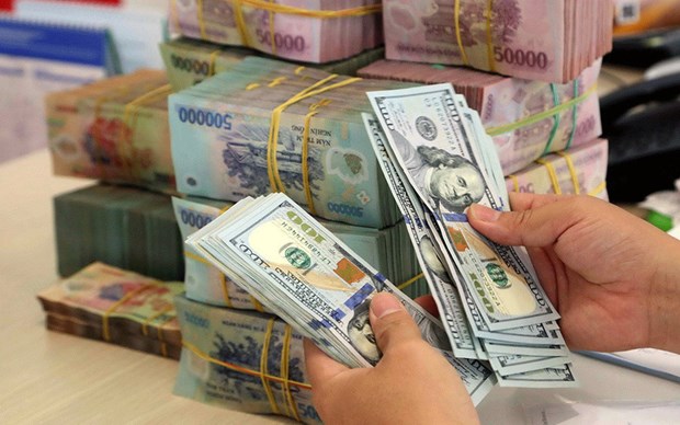 2月10日上午越南国内市场美元价格下降，人民币价格上涨 hinh anh 1