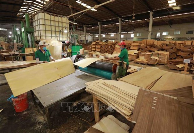 越南大力开展木材贸促活动 hinh anh 2