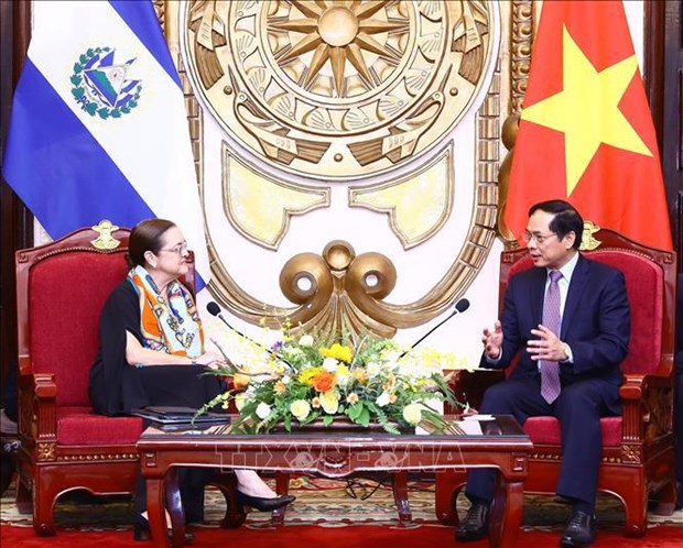 越南外交部部长裴青山与萨尔瓦多外交部部长希尔举行会谈 hinh anh 1