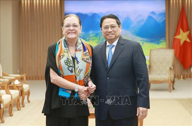 越南政府总理范明政会见萨尔瓦多外长亚历山德拉·希尔·蒂诺科 hinh anh 1