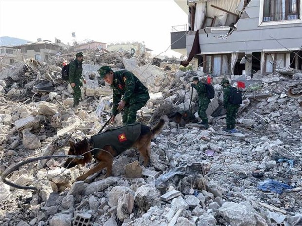 土叙强震：越南政府向土耳其和叙利亚提供紧急援助 hinh anh 1