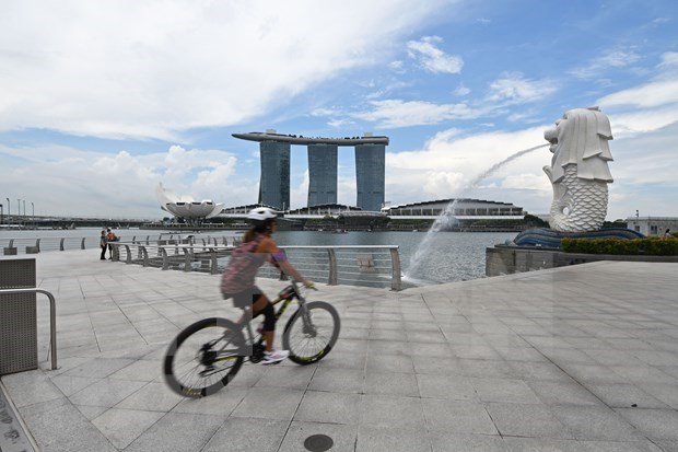 新加坡2022年GDP增长低于预期 hinh anh 1