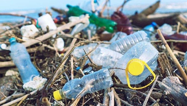 “减少越南旅游业的塑料垃圾”项目正式启动 hinh anh 2