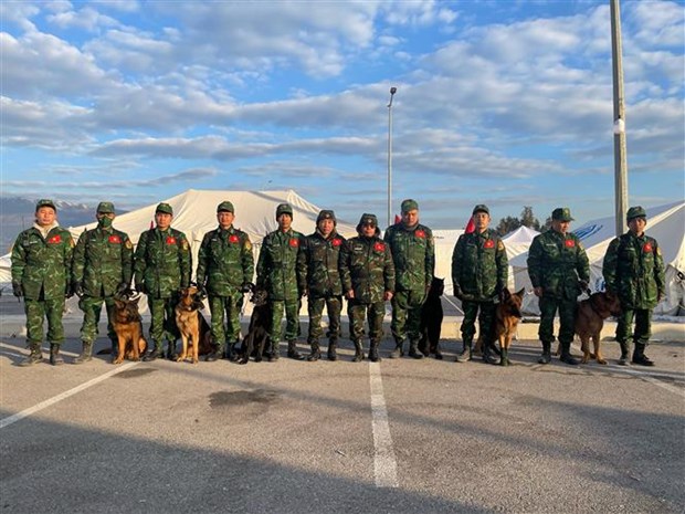 土耳其和叙利亚强震：越南人民军嗅探犬队的卓越战绩 hinh anh 1