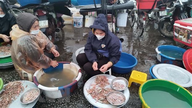 专家呼吁印尼借鉴越南渔业发展经验 hinh anh 1