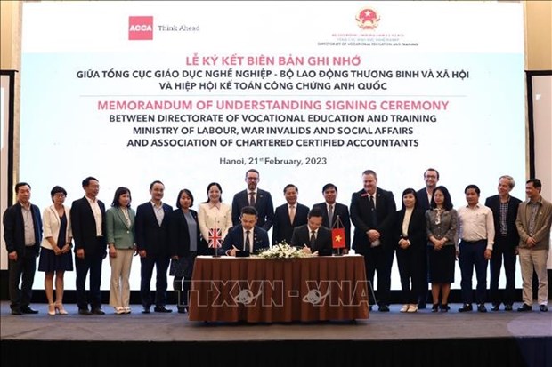 推动越南与英国职业教育领域的合作 hinh anh 2
