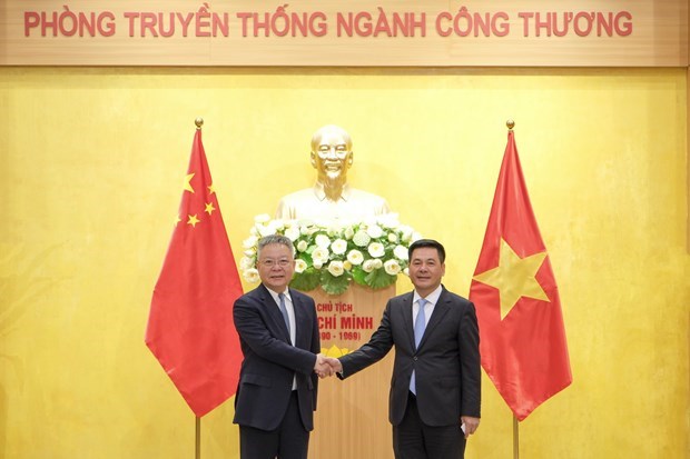促进越南与中国海南省之间的经贸合作 hinh anh 1