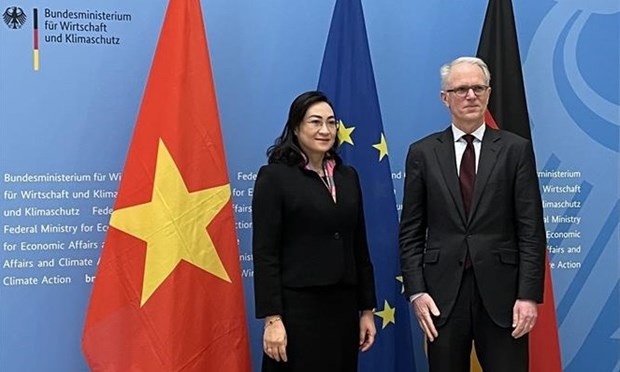 越南—德国经济合作混合委员会第二次会议在德国举行 hinh anh 1