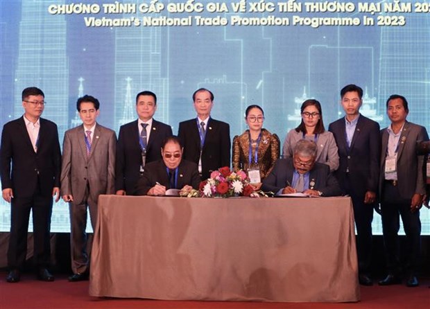 越南国际腰果大会：全球腰果产业的“黄金约会地” hinh anh 1