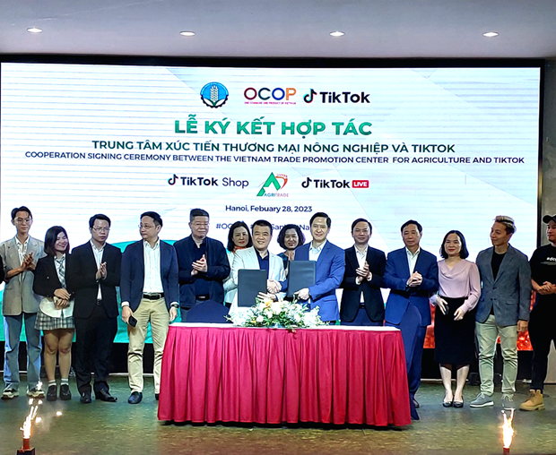 越南一乡一品业主促进数字化转型进程 hinh anh 1