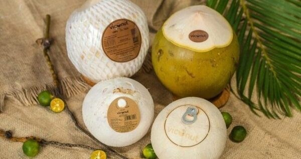 越南椰类产品出口额即将跻身10亿美元俱乐部 hinh anh 1