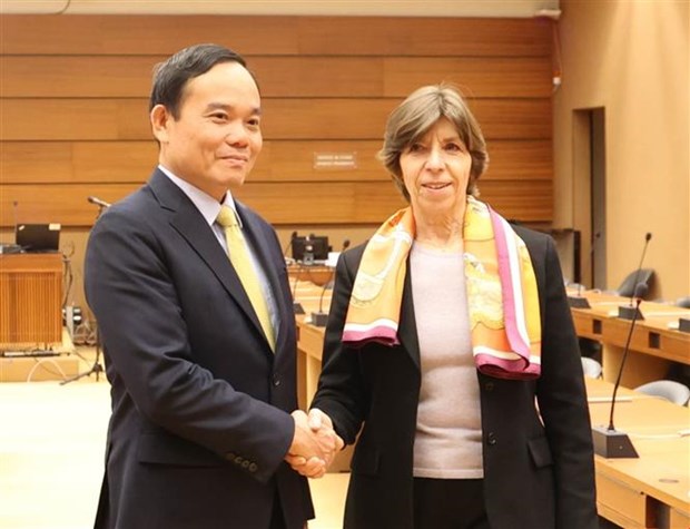 越南政府副总理陈流光会见各国和国际组织领导 hinh anh 1