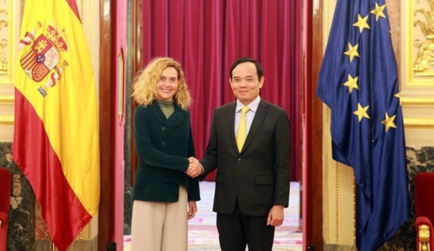 越南政府副总理陈流光会见西班牙众议院议长梅里特塞尔·巴特 hinh anh 1
