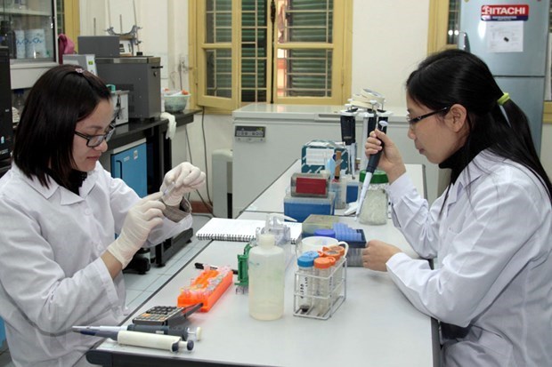促进越南与南非在教育培训与科研领域的合作 hinh anh 1