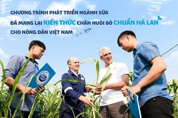 菲仕兰康柏尼（越南）公司总经理：奶农促进越南乳业的重大变革 hinh anh 2