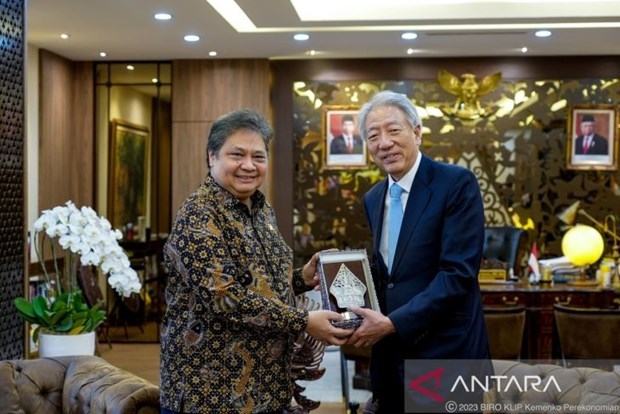 印度尼西亚加强与新加坡的数字经济合作 hinh anh 1